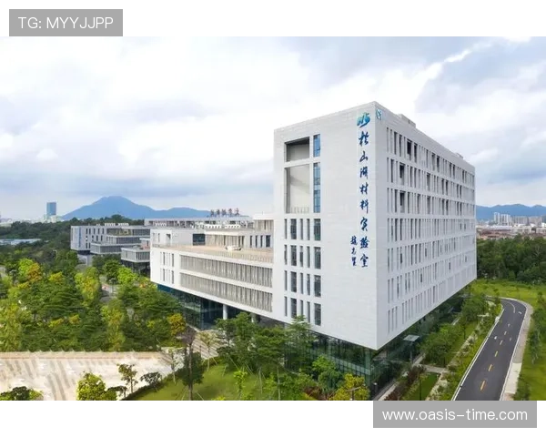 广东东升控股集团引领产业升级与高质量发展新格局区域协同创新